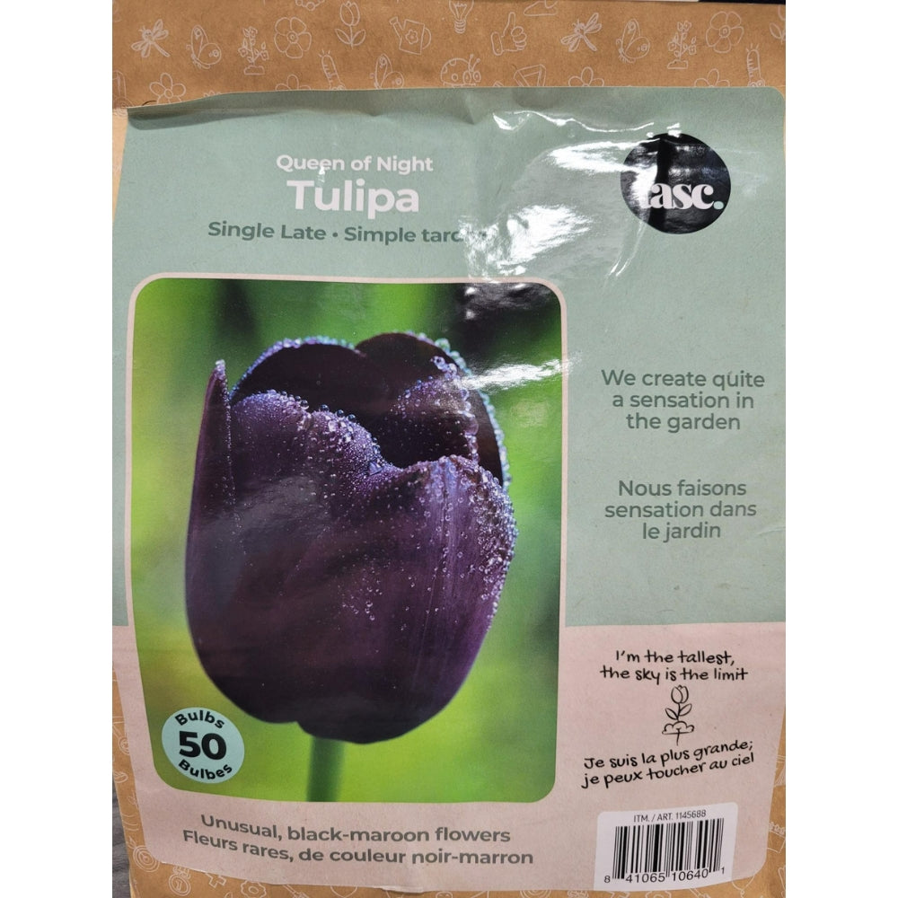 Tasc - Assortiments de bulbs de fleurs