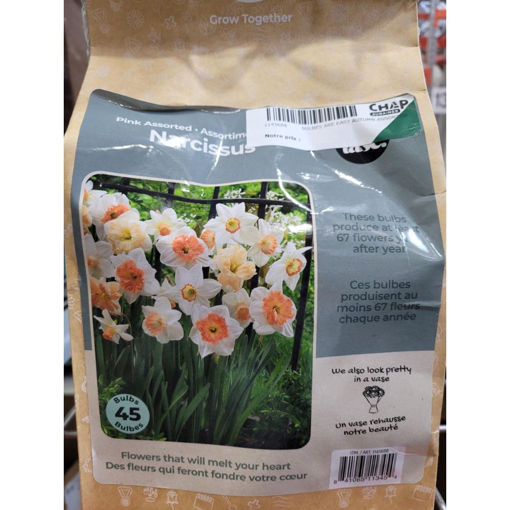Tasc - Assortiments de bulbs de fleurs