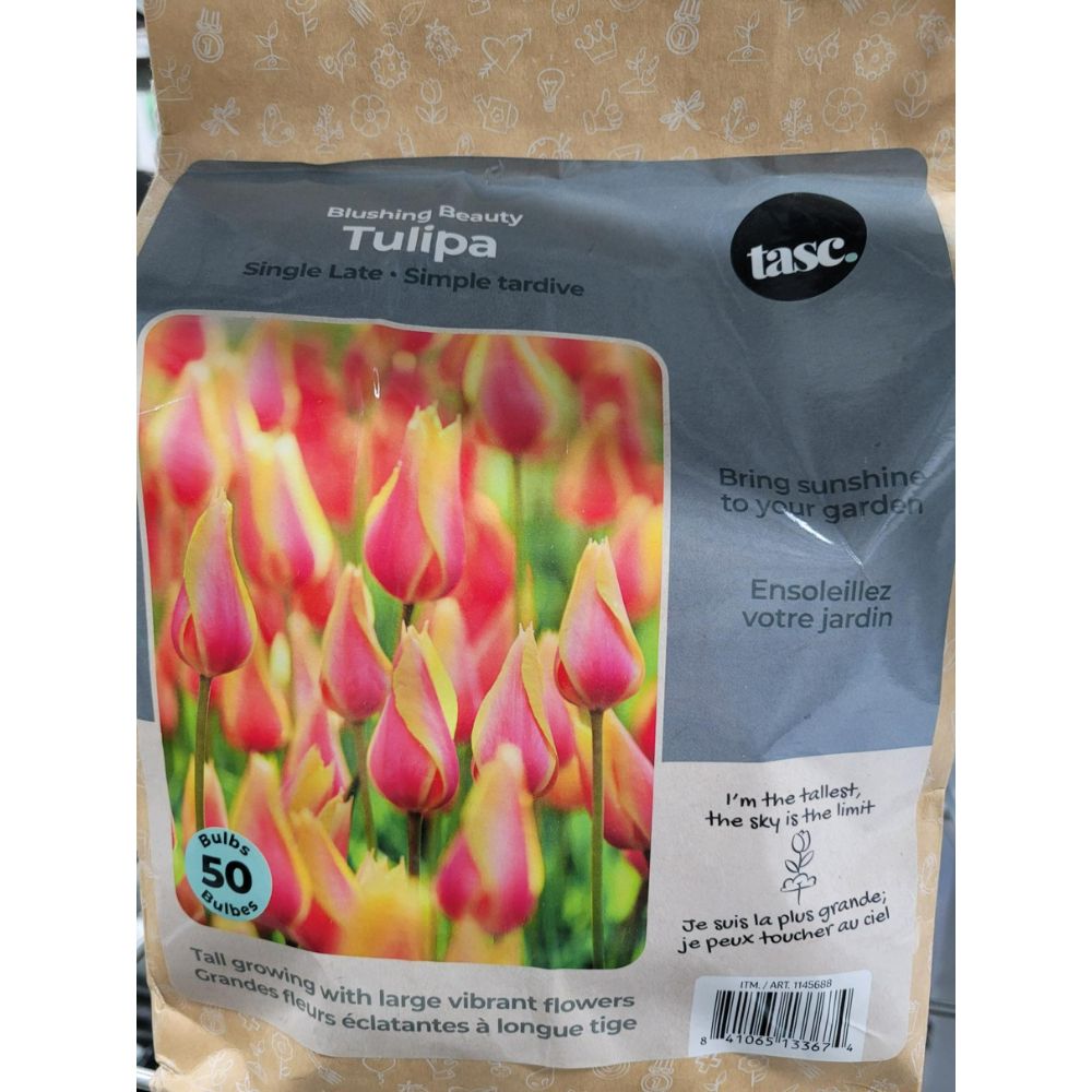 Tasc - Assortiments de bulbs de fleurs