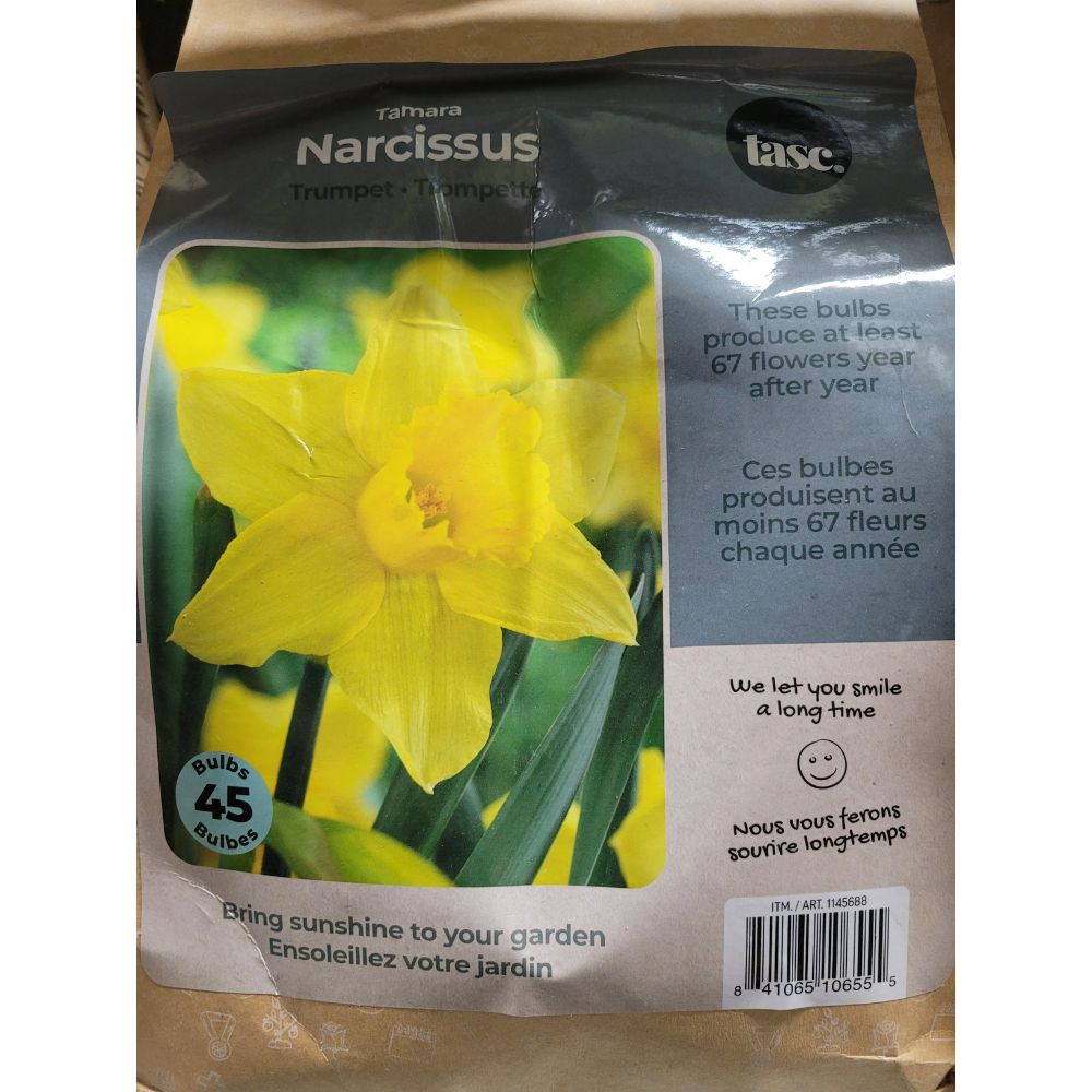 Tasc - Assortiments de bulbs de fleurs