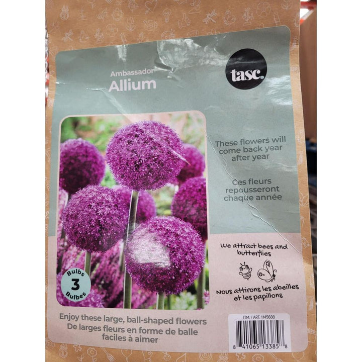 Tasc - Assortiments de bulbs de fleurs