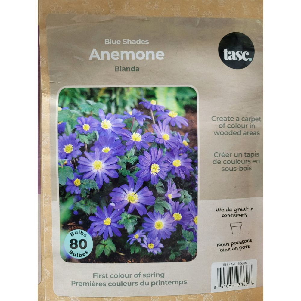 Tasc - Assortiments de bulbs de fleurs