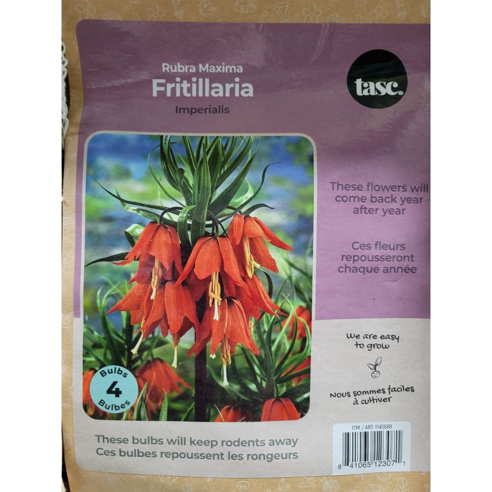Tasc - Assortiments de bulbs de fleurs