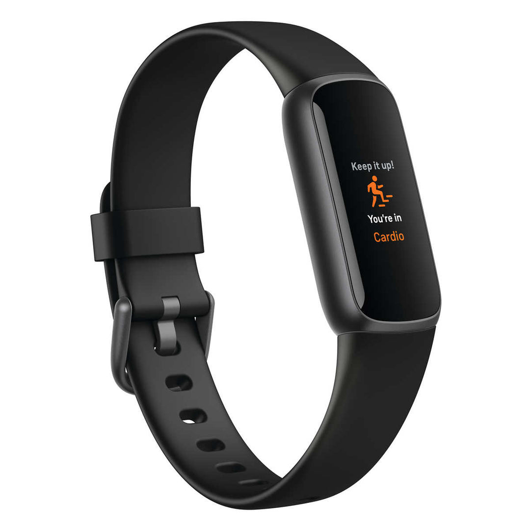 Fitbit - Montre de luxe avec deux câbles de chargement