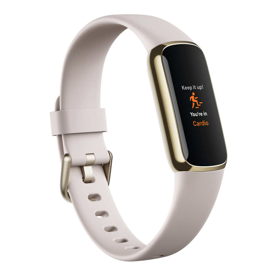 Fitbit - Montre de luxe avec deux câbles de chargement