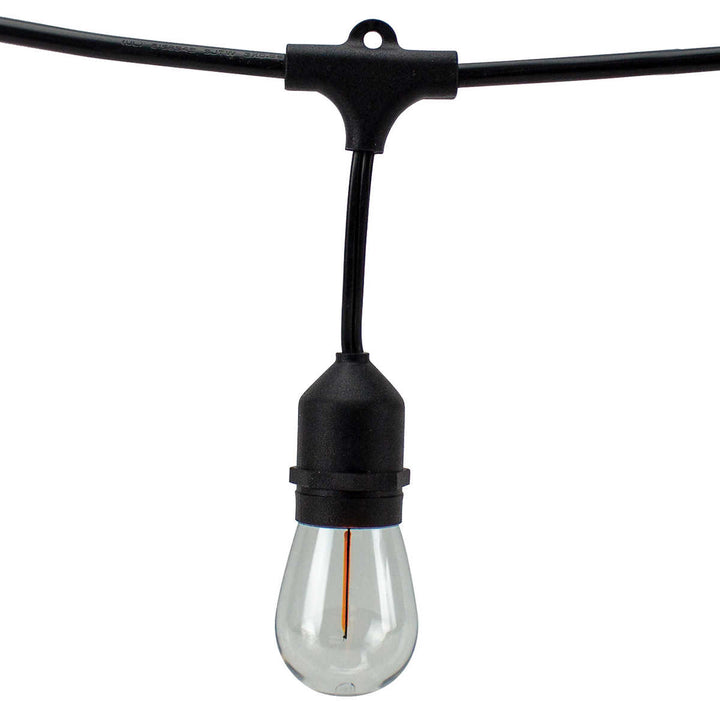 American Lighting 48 ft. Warm White LED String Lights 