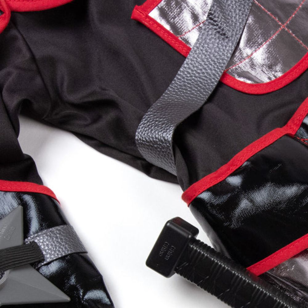 Teetot Ninja Costume