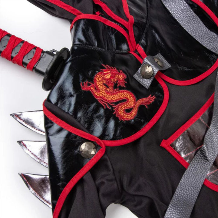 Teetot Ninja Costume