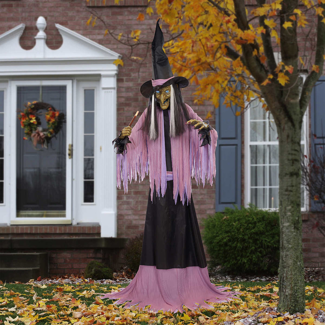 Seasonal Visions - Sorcière animée pour l'Halloween