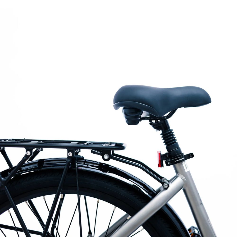 Ebgo CC60 Electric Bike