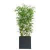 CGH - Artificial Bamboo Room Divider 2.0 m (6.5 ft)