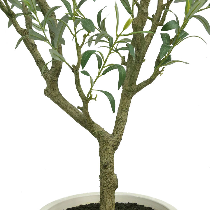 CGH Artificial Olive Tree