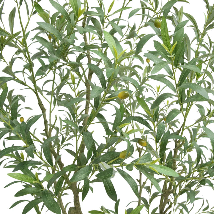 CGH Artificial Olive Tree
