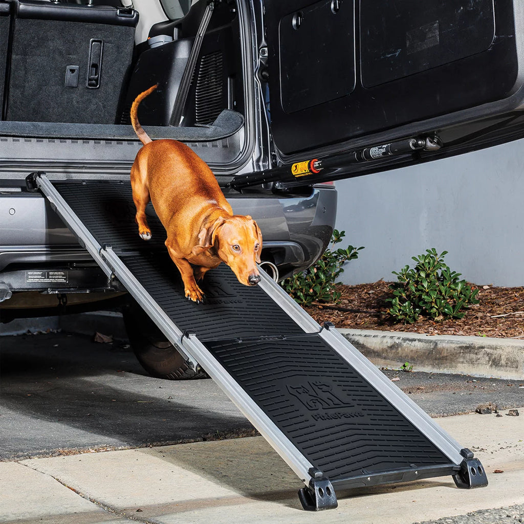 Pixie Paws Telescoping Pet Ramp – CHAP Aubaines