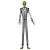 Animated Alien