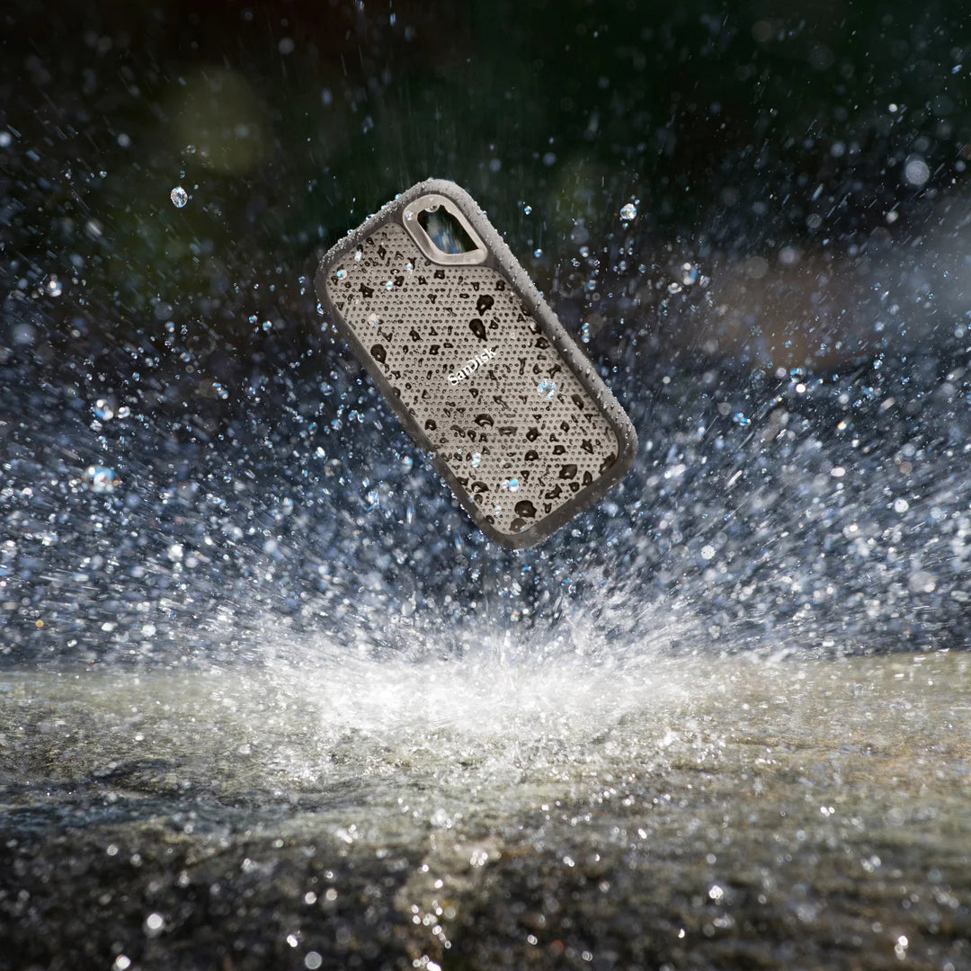 SanDisk Extreme Go External Solid State Drive