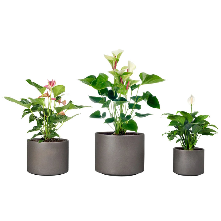 CMS - Jardinières rondes en céramique pour l’intérieur et l’extérieur, ensemble de 3