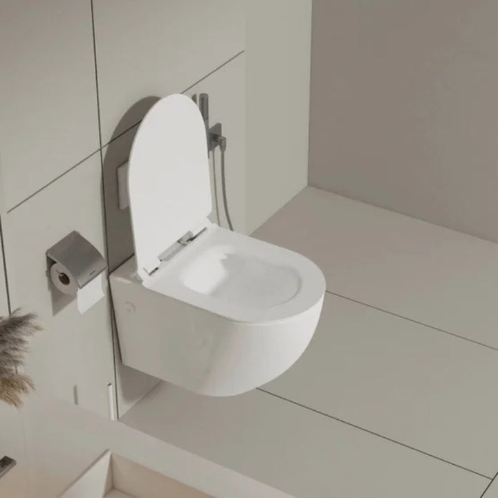 Appollo - Dillon wall-mounted toilet