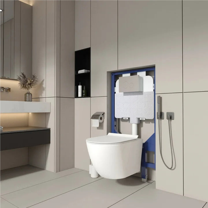 Appollo - Dillon wall-mounted toilet