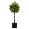 CGH - Arbre artificiel Laurel de 2 m (6 pi)