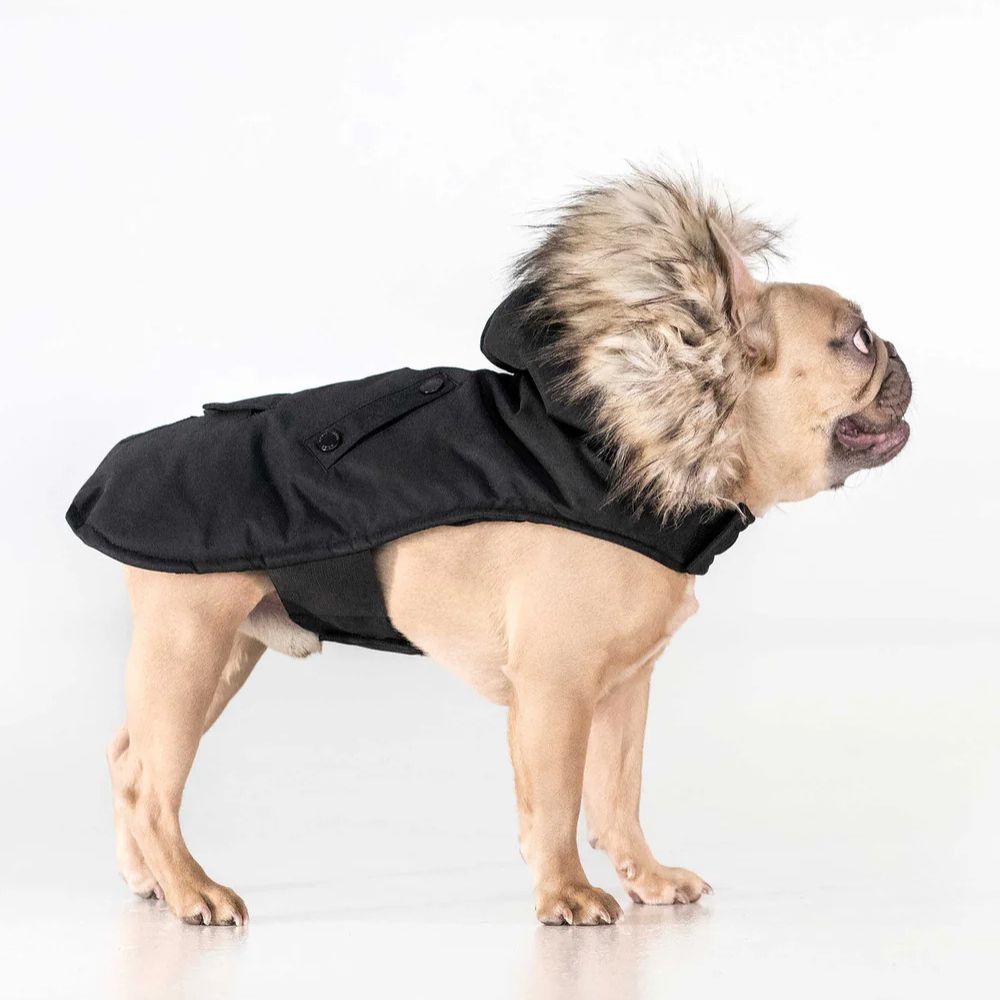 Karter Dog Coat
