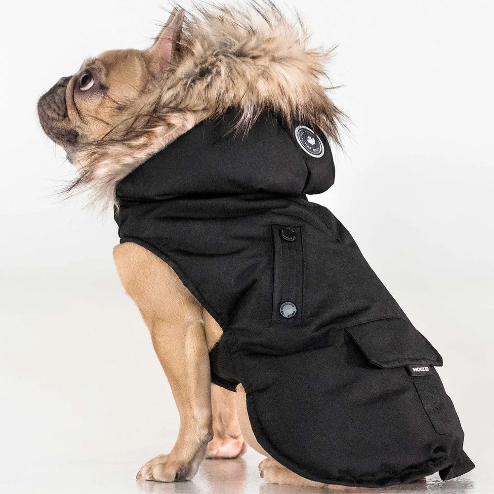 Karter Dog Coat