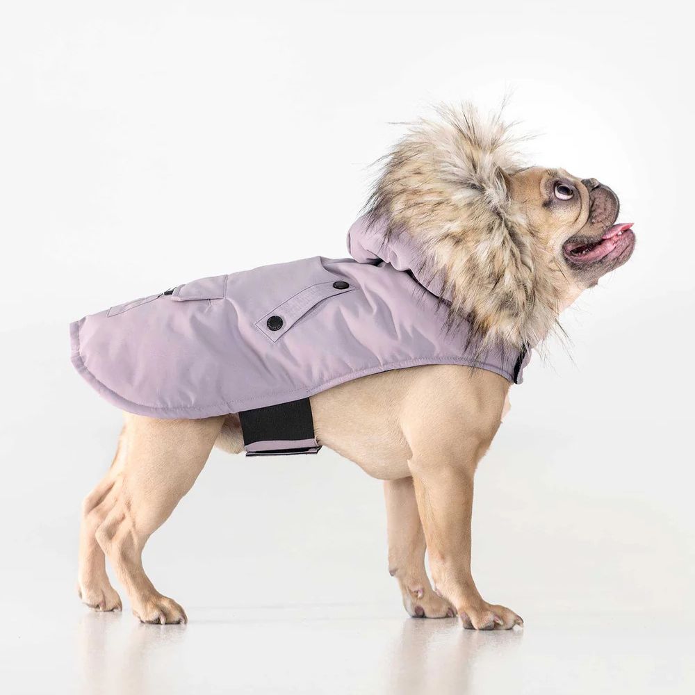 Karter Dog Coat