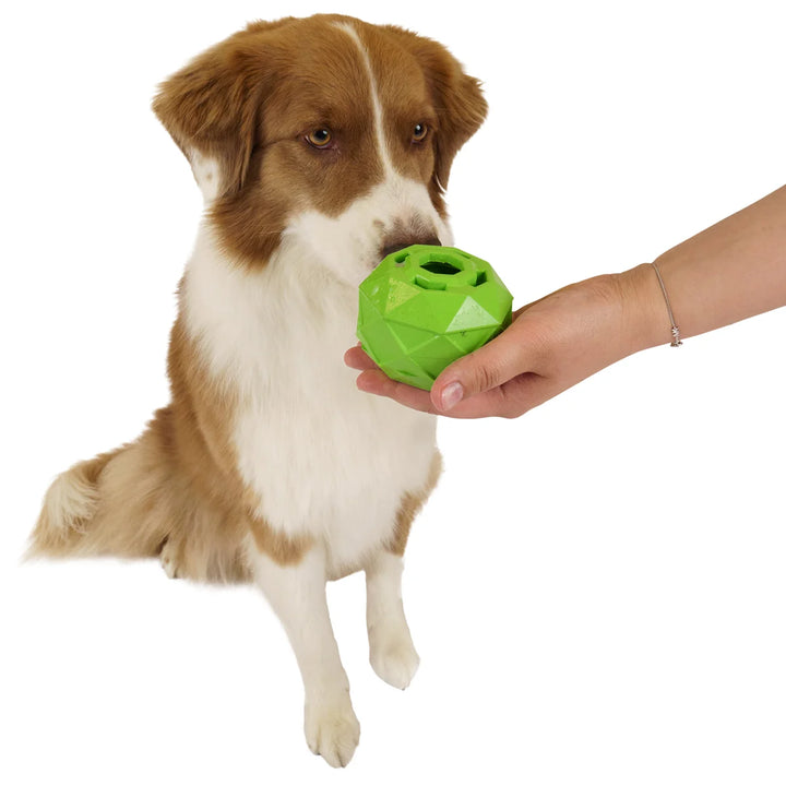 FreezePawps Toys and Freeze Tray