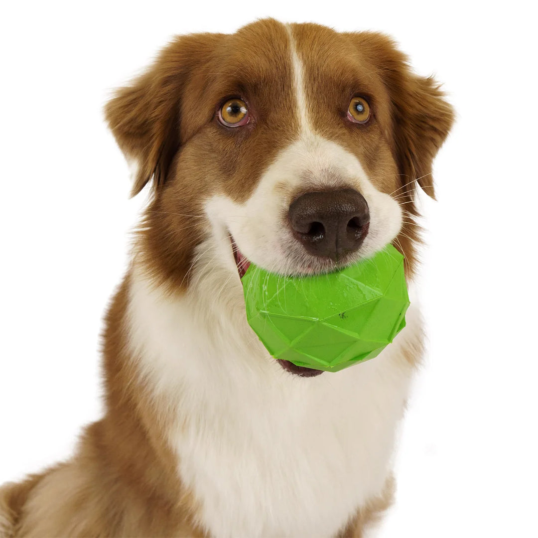 FreezePawps Toys and Freeze Tray