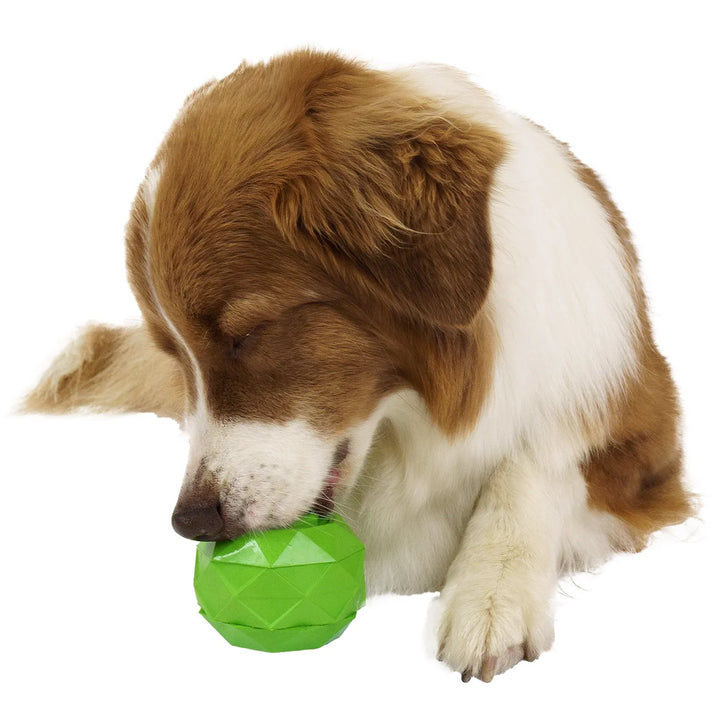 FreezePawps Toys and Freeze Tray