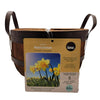 Tasc - Contenant en bois