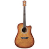 Washburn - Acoustic Guitar Set