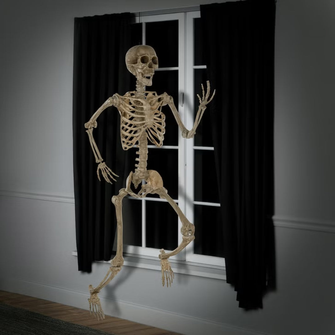 2.1 m (7 ft) Halloween articulated skeleton
