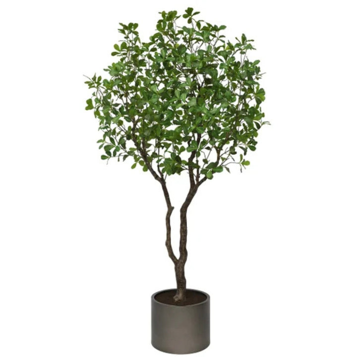 CGH - Faux charcoal, 2 m (6.5 ft)