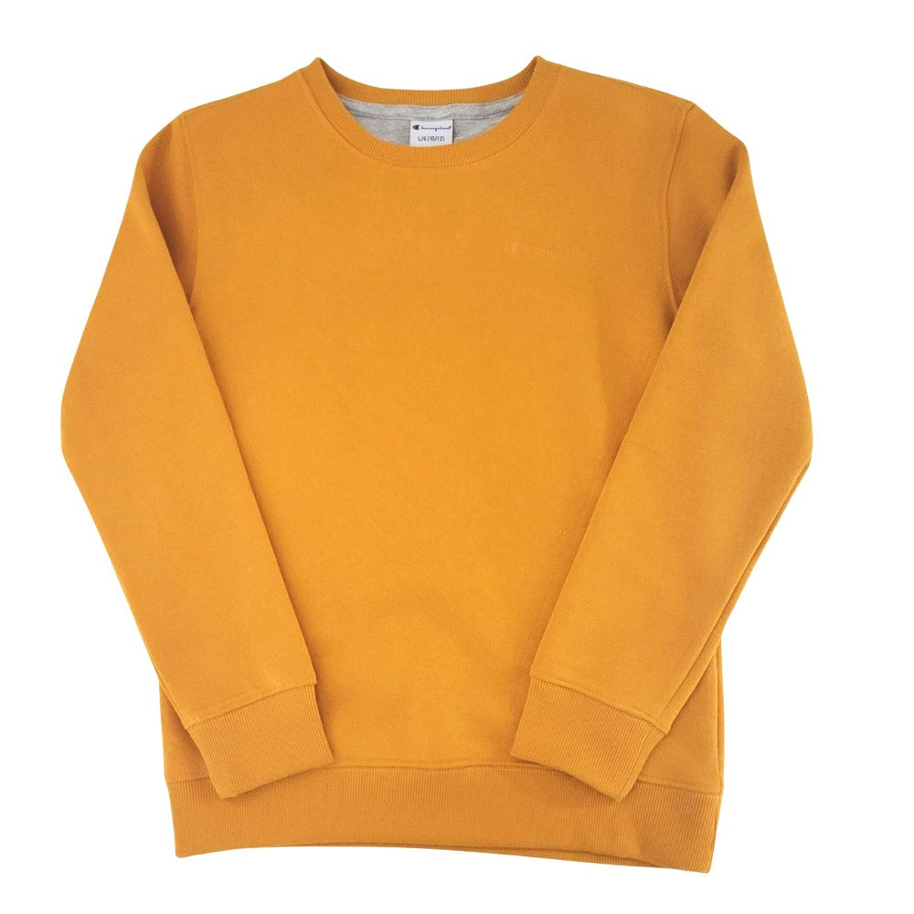 Champion Fleece Sweatshirt