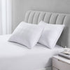 Eddie Bauer - Pillows, Pack of 2