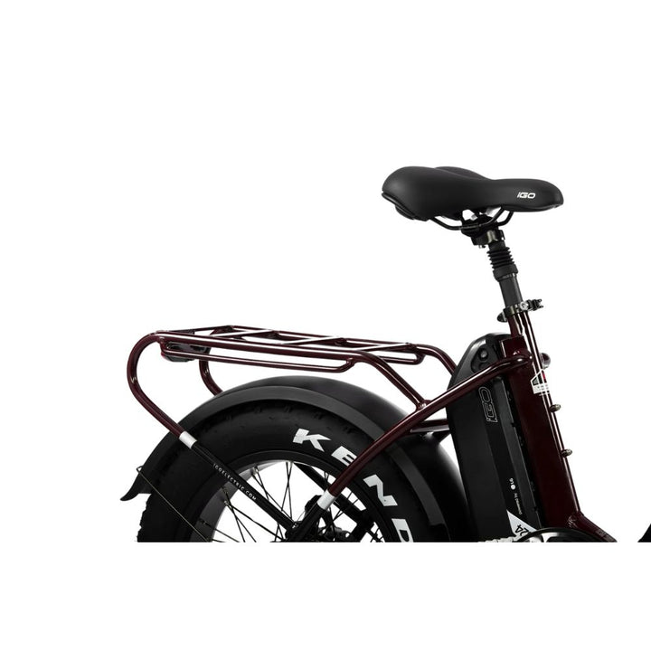 iGo Folding Electric Bike