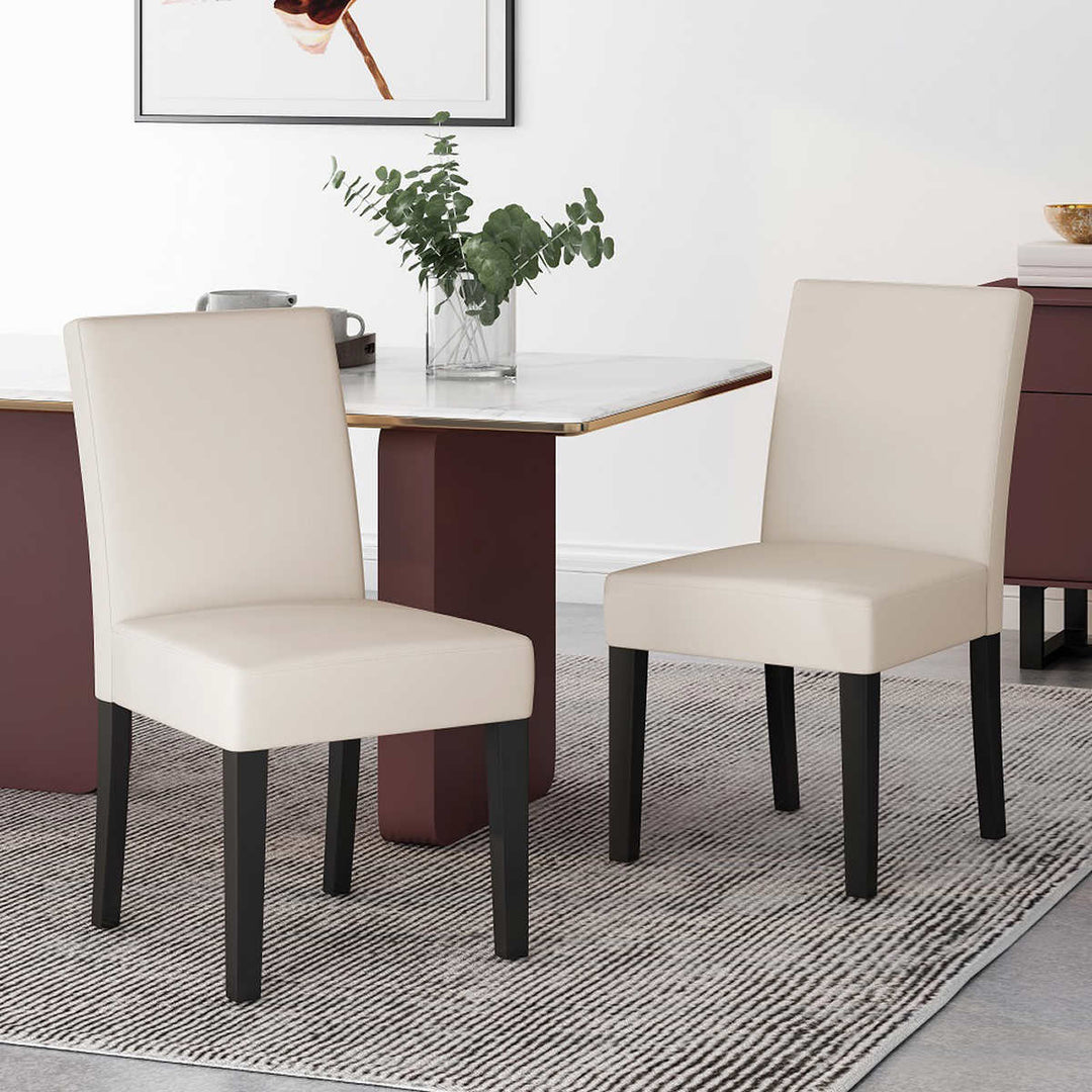 Gianna - Set of 2 Contemporary Dining Chairs