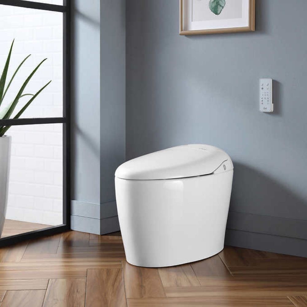 OVE Smart Tankless Bidet Toilet