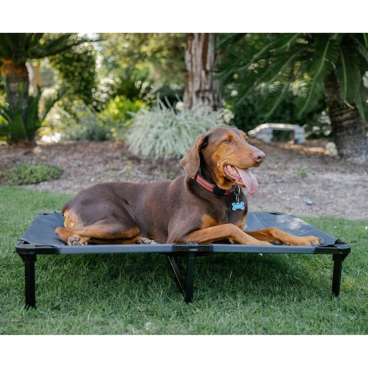 Lucky Dog LOUNGE Series 42" Gray Raised Bed