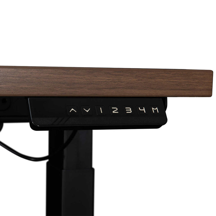 Sunjoy PreciseRise 48" Modern Height Adjustable Desk