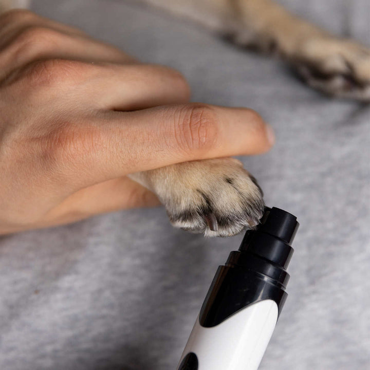 Silver Paw - Dog Grooming Kit