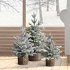 3-Piece Flocked Trees with LED Lights
