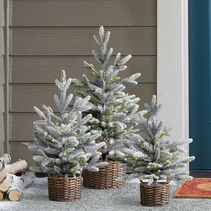 3 flocked trees with battery operated LED lights
