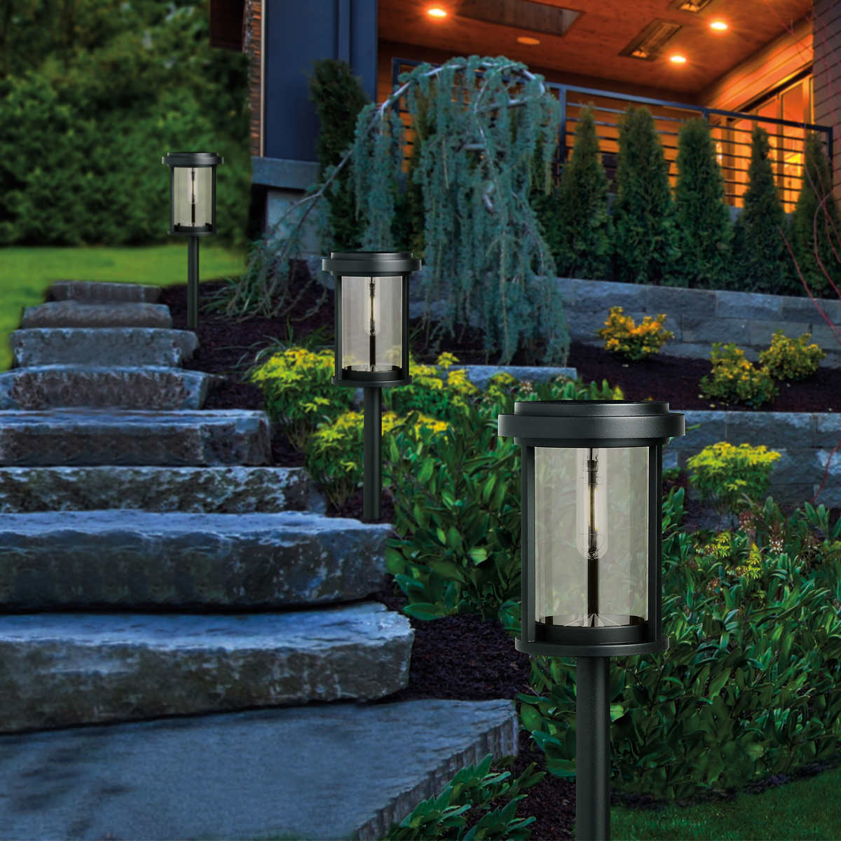 GTX Solar Light - 5-Pack – CHAP Aubaines