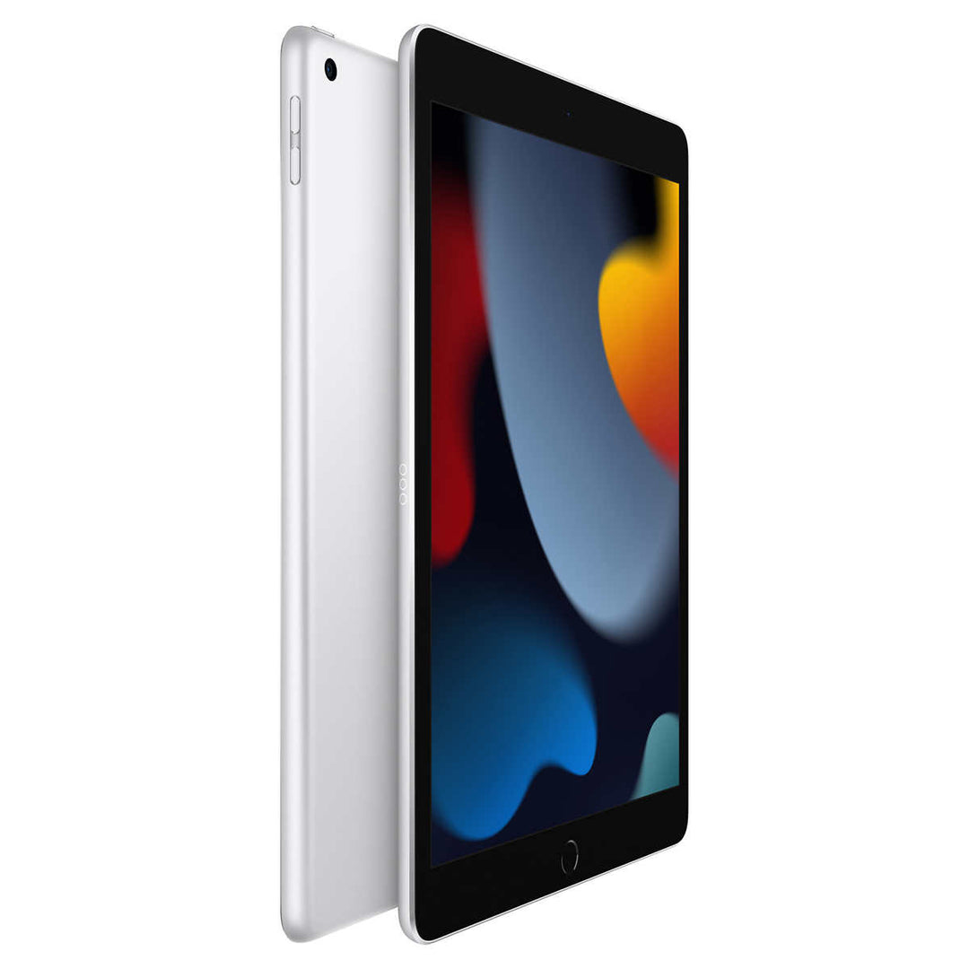 Apple - iPad, 10.2 inch. 256 GB, Wi-Fi, A13 Bionic chip with Neural Engine 