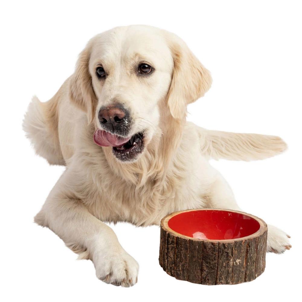 Country Living - Set of 2 Wooden Dog Bowls - Rustic Style