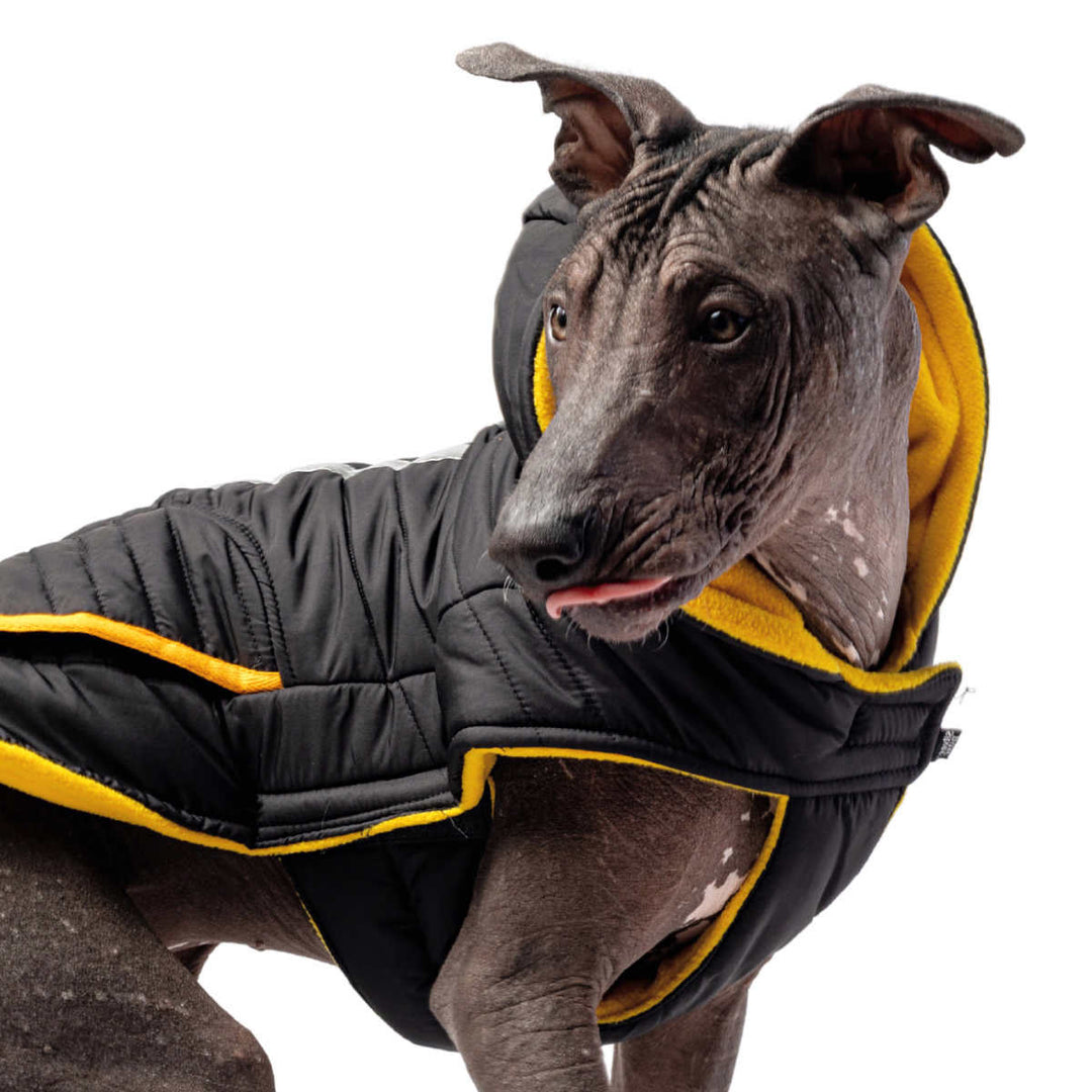 Silver Paw - Reflective Dog Vest