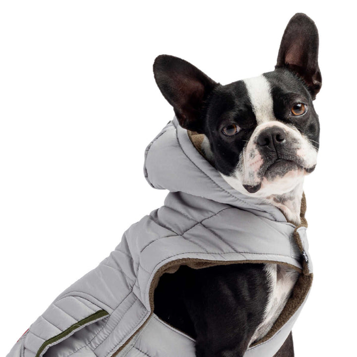 Silver Paw - Reflective Dog Vest