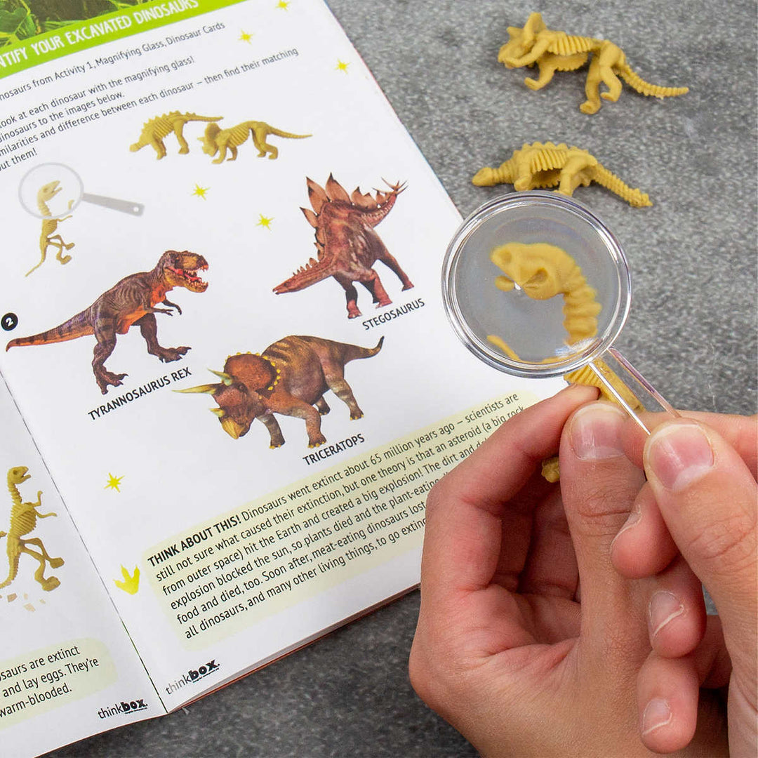 ThinkBox - Dinosaur Explorer Educational Game